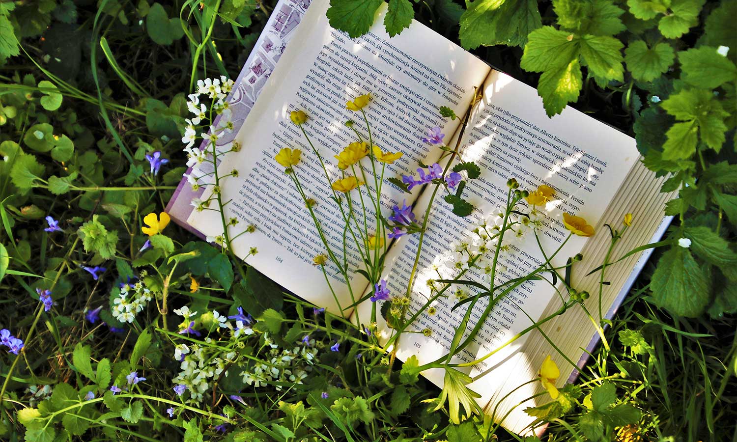 Buch auf dem Rasen im Schattengarten