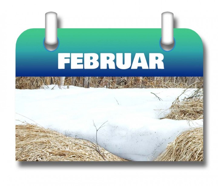 Kalender-Februar