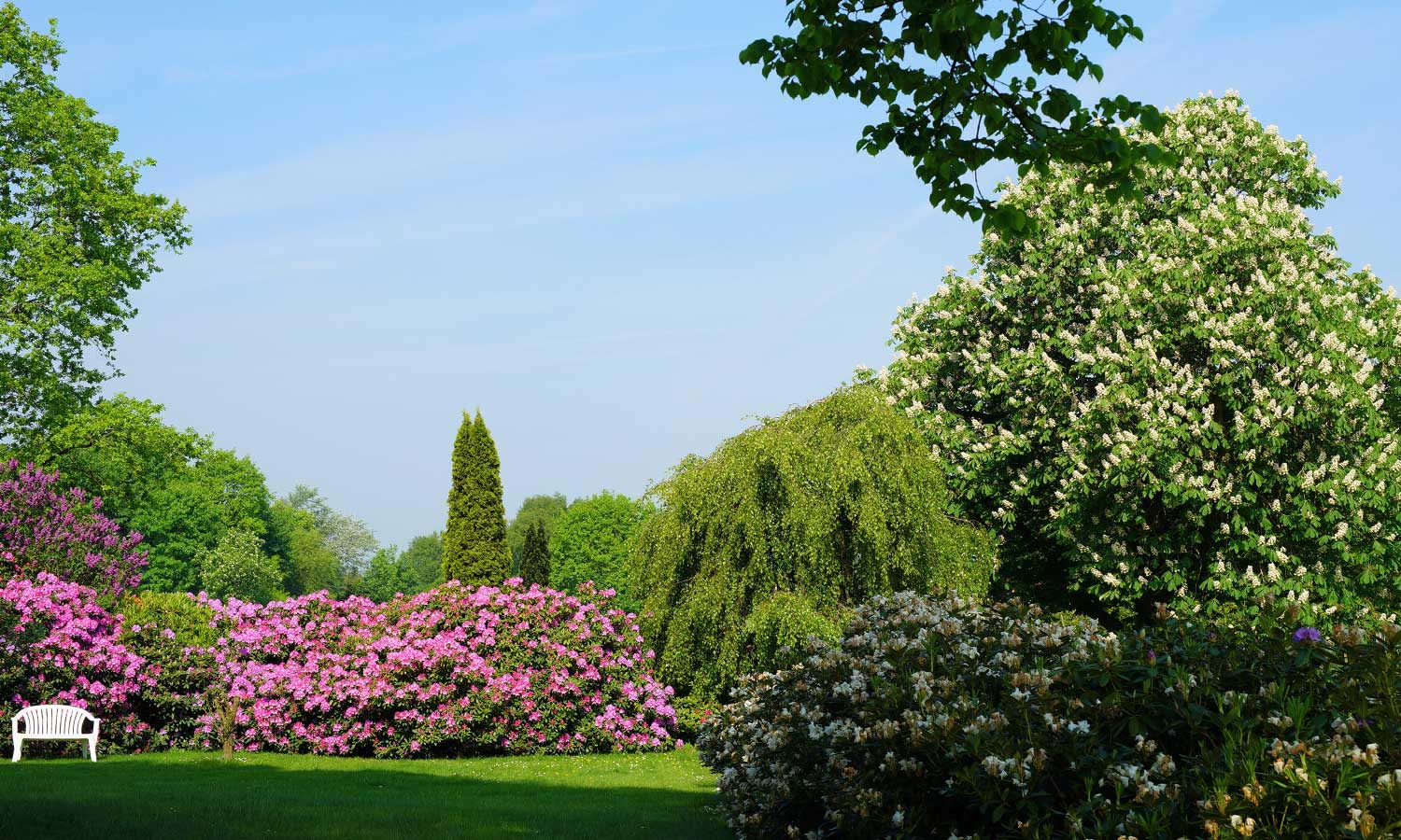 Park mit Bank und Rhododendron