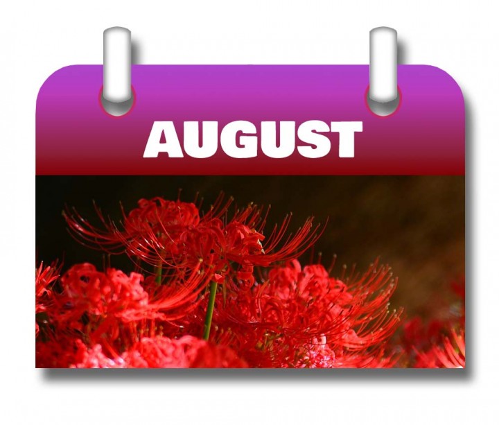 Kalender-August