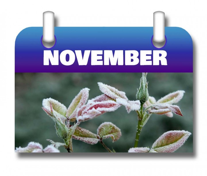 Kalender-November