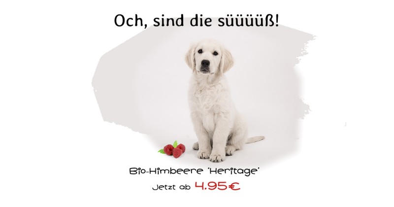 media/image/Bio-Himbeere-Heritage-01-Startseite.jpg